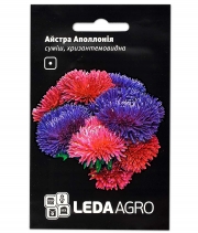 Изображение товара Семена цветов Астра Аполлония смесь